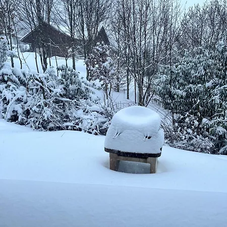 Gaby - Atypique Avec * Xonrupt-Longemer