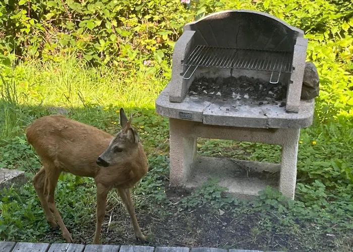Gaby - Atypique Avec * Xonrupt-Longemer