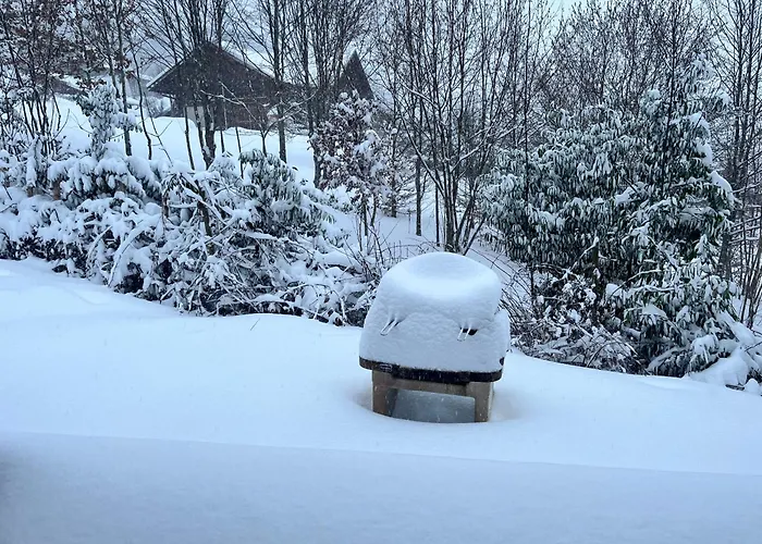 Gaby - Atypique Avec * Xonrupt-Longemer